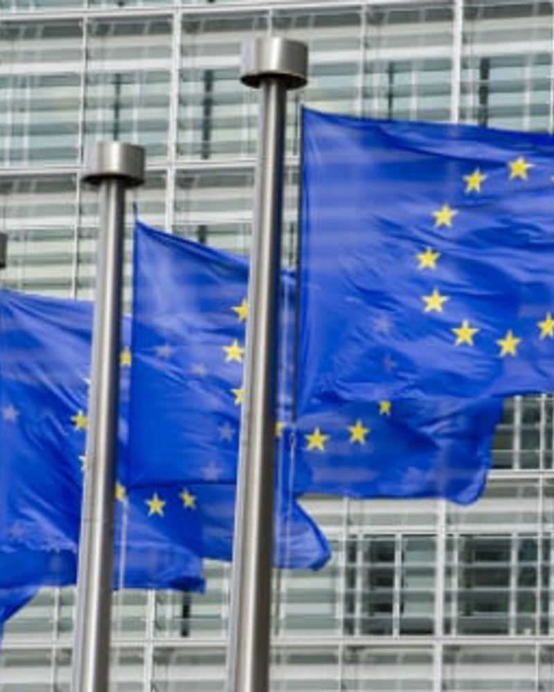 European Parlement Flags