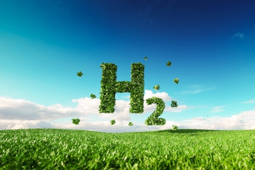 H2 icon in meadow