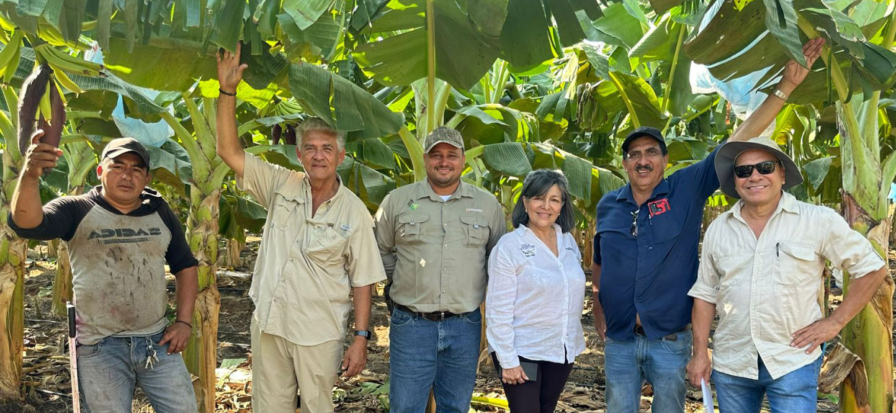 Grupo de seis personas de pie en una plantación de banano, con hojas grandes alrededor y varios hombres levantando un brazo.