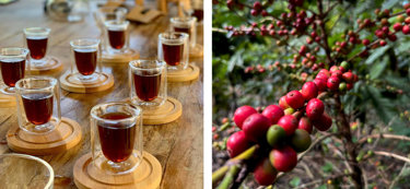 UTATLAN Café