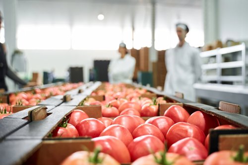 Apple in a factory