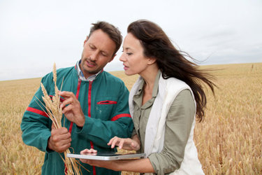food-feed-inspector-.jpg
