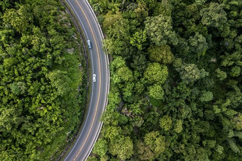 鸟瞰视角显示环绕茂密绿色森林的弯曲公路,两辆车正在道路上行驶。