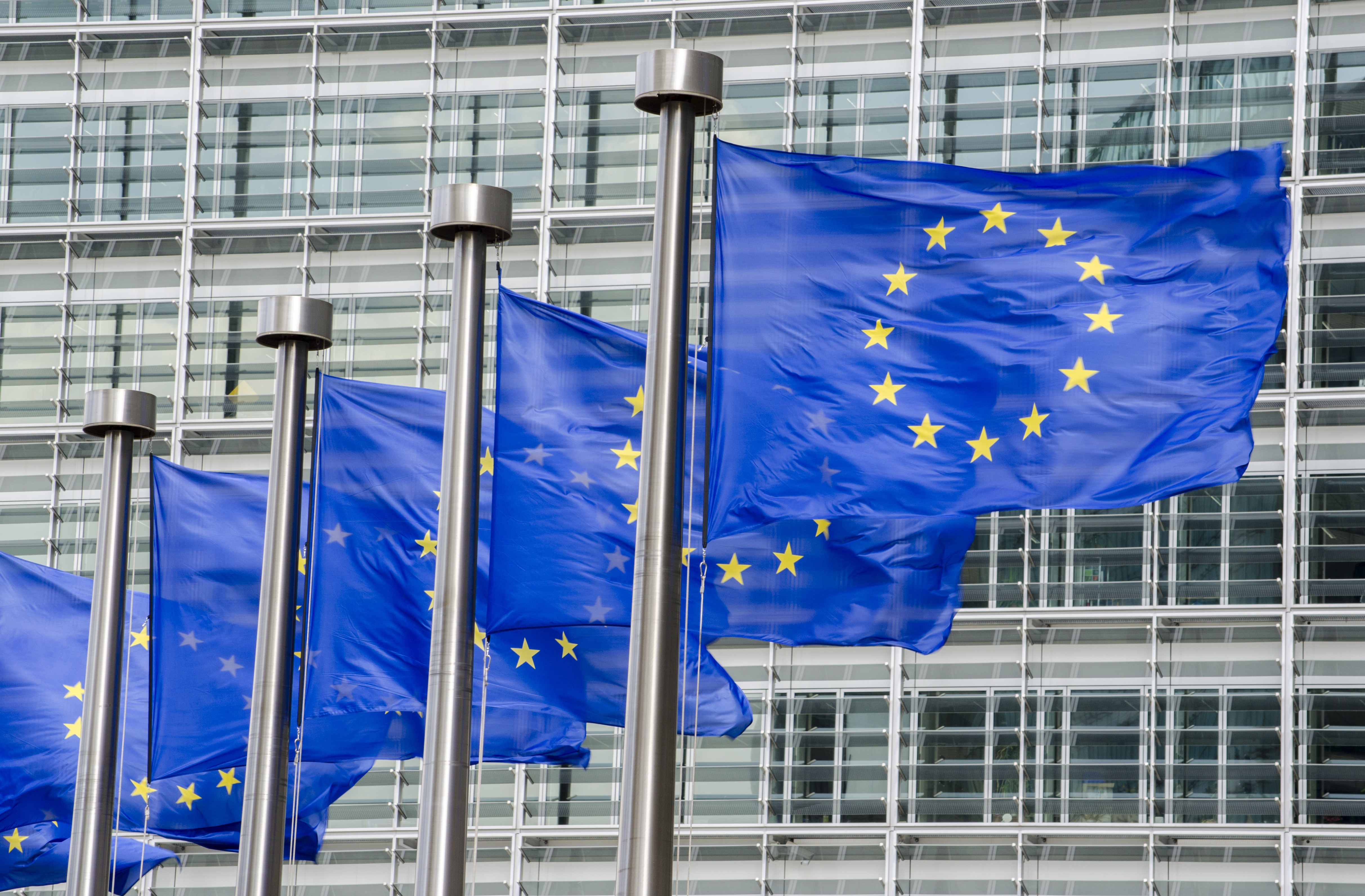 Flags EU