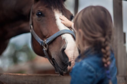 Little girl stroking her horse