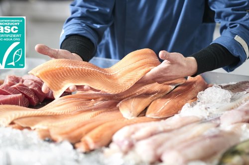 Person som håller upp laxfiléer över en isbädd med annan färsk fisk, med ASC-spårbarhetscertifieringsmärke i hörnet.