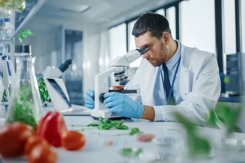 A man is inspecting food as part of Kiwa certification.