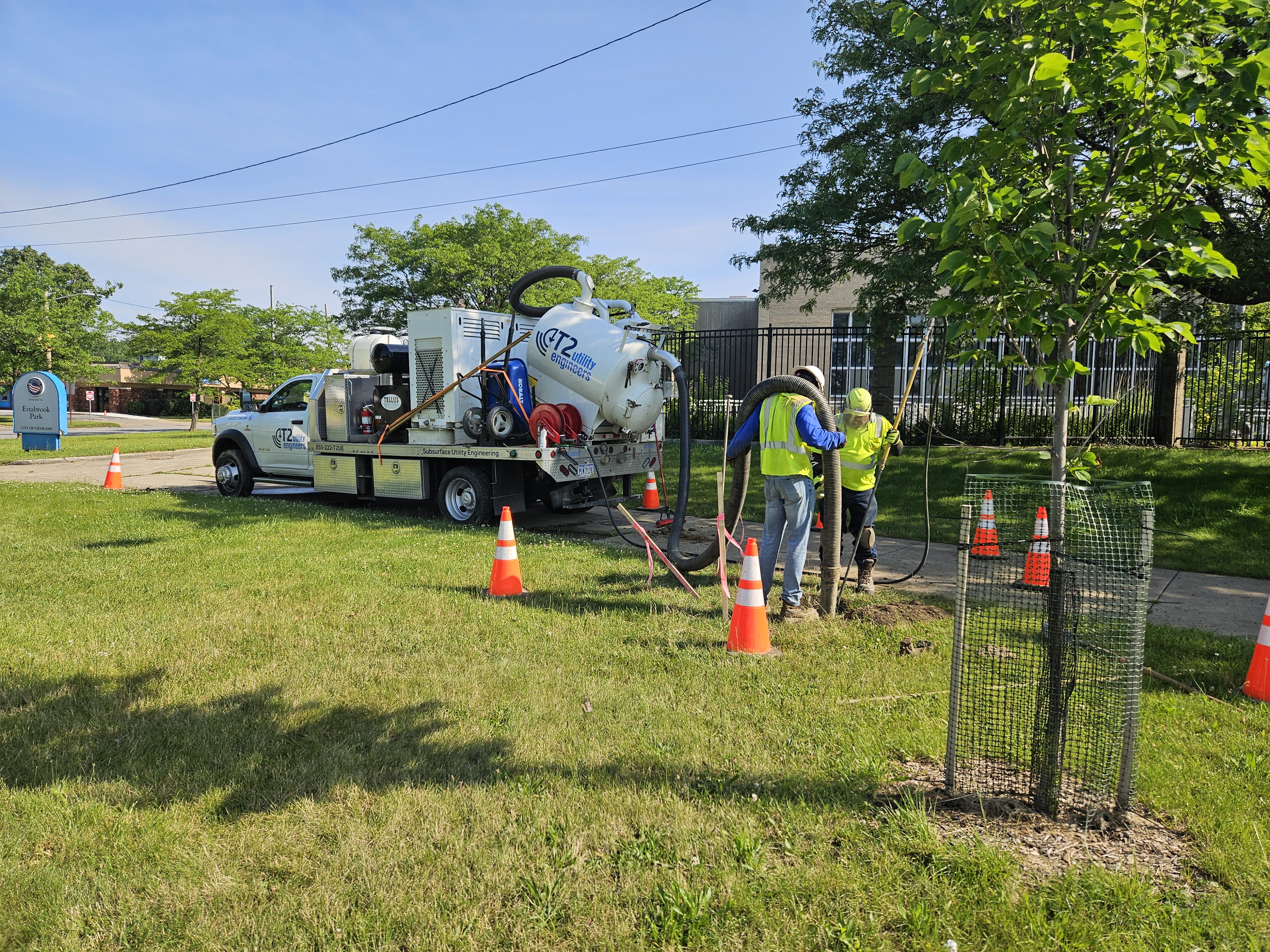 Utility workers using a vacuum truck and hoses to perform underground tree root or sewer maintenance on a grassy roadside, with traffic cones and young trees nearby.